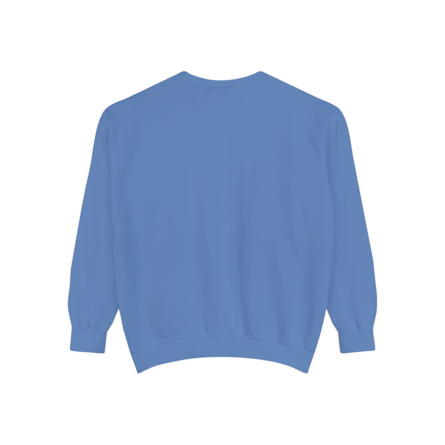 Oh Sammy ONE TO BLAME Garment-Dyed Sweatshirt