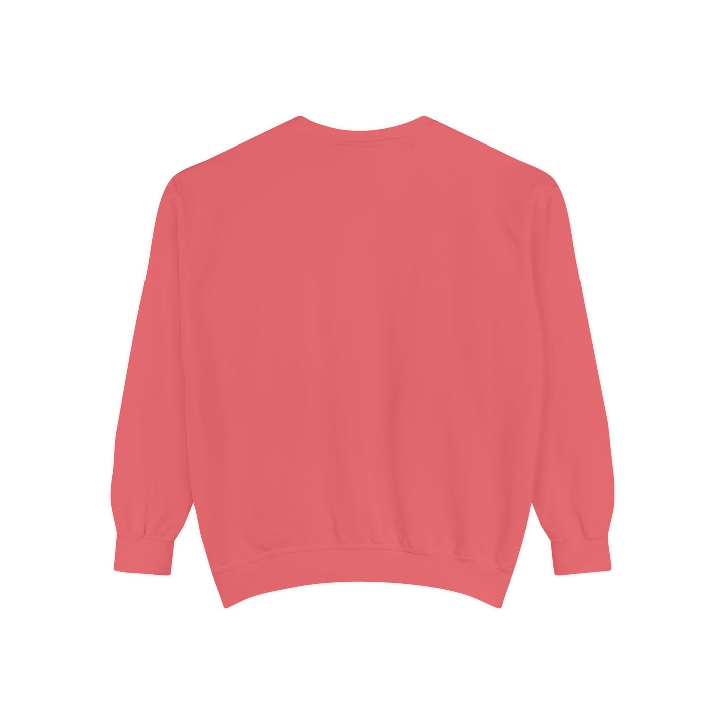Oh Sammy ONE TO BLAME Garment-Dyed Sweatshirt