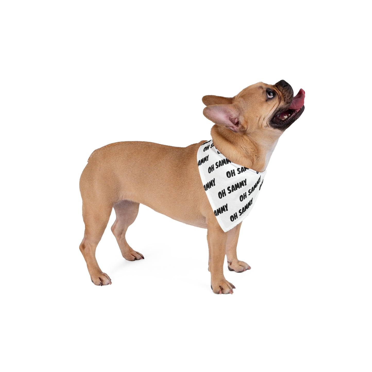 Oh Sammy Logo Pet Bandana