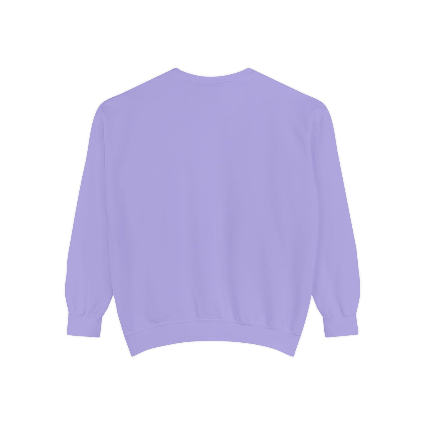 Oh Sammy ONE TO BLAME Garment-Dyed Sweatshirt
